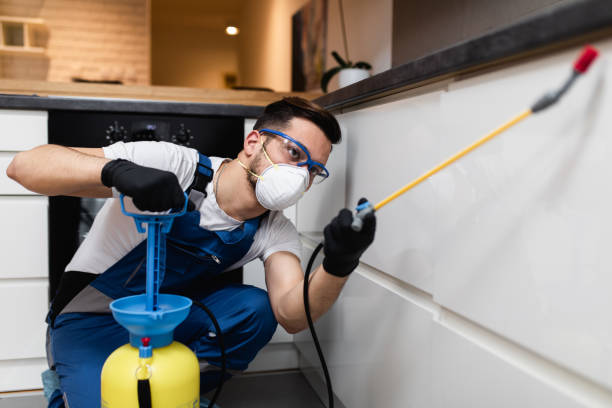 Best Emergency Pest Control  in Lynn Haven, FL