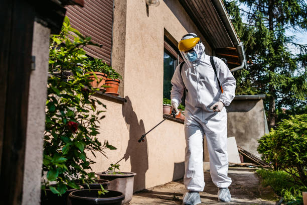 Best Wasp Removal Services  in Lynn Haven, FL