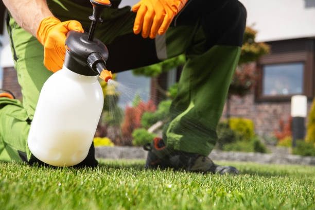 Best Local Pest Control Services  in Lynn Haven, FL