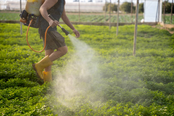 Best Residential Pest Control  in Lynn Haven, FL