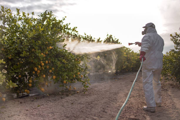 Professional Pest Control in Lynn Haven, FL