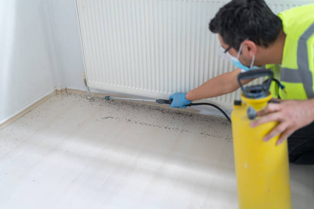 Professional Pest Control in Lynn Haven, FL